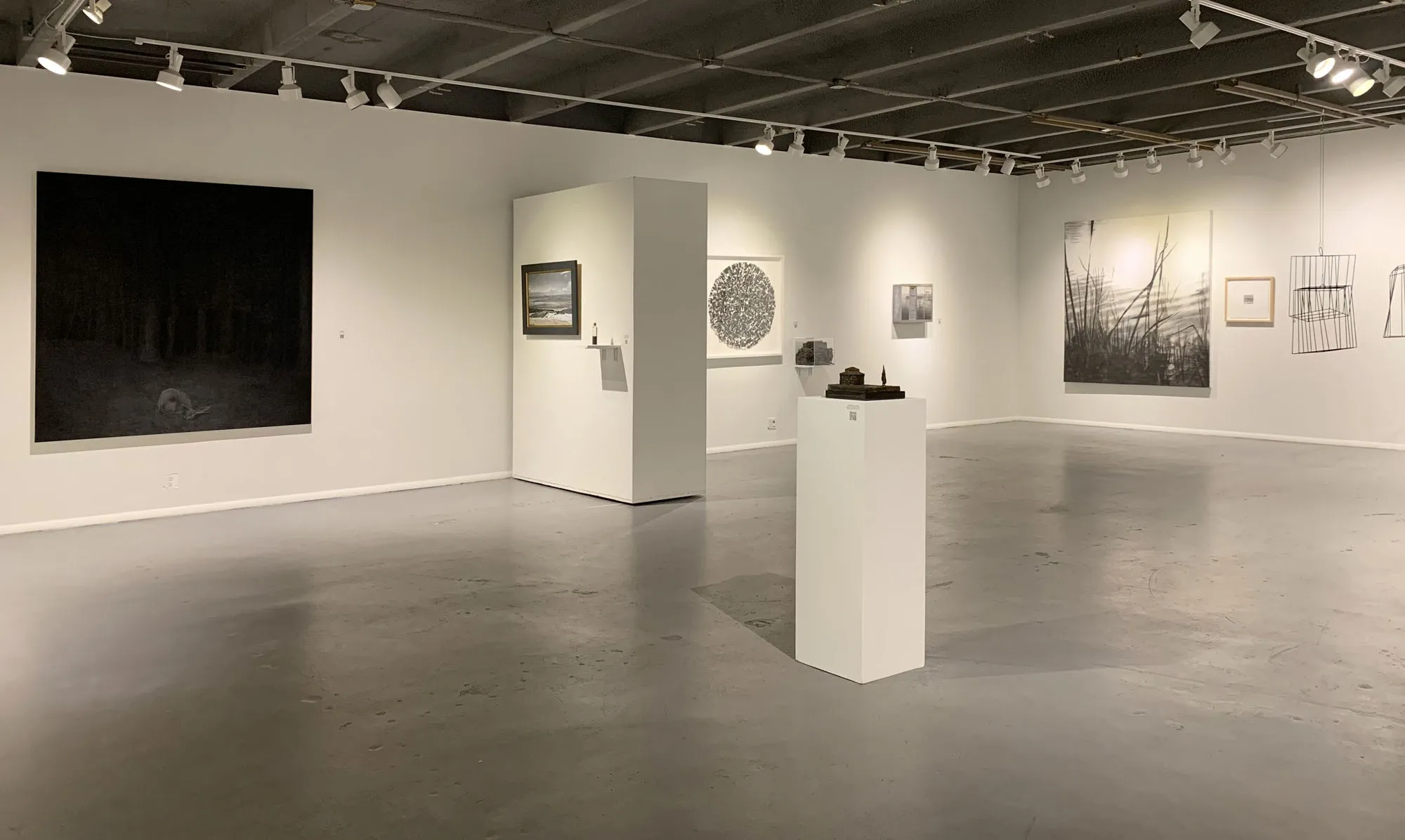 VITAMIN L: The Disruption of Color in Contemporary Landscape
